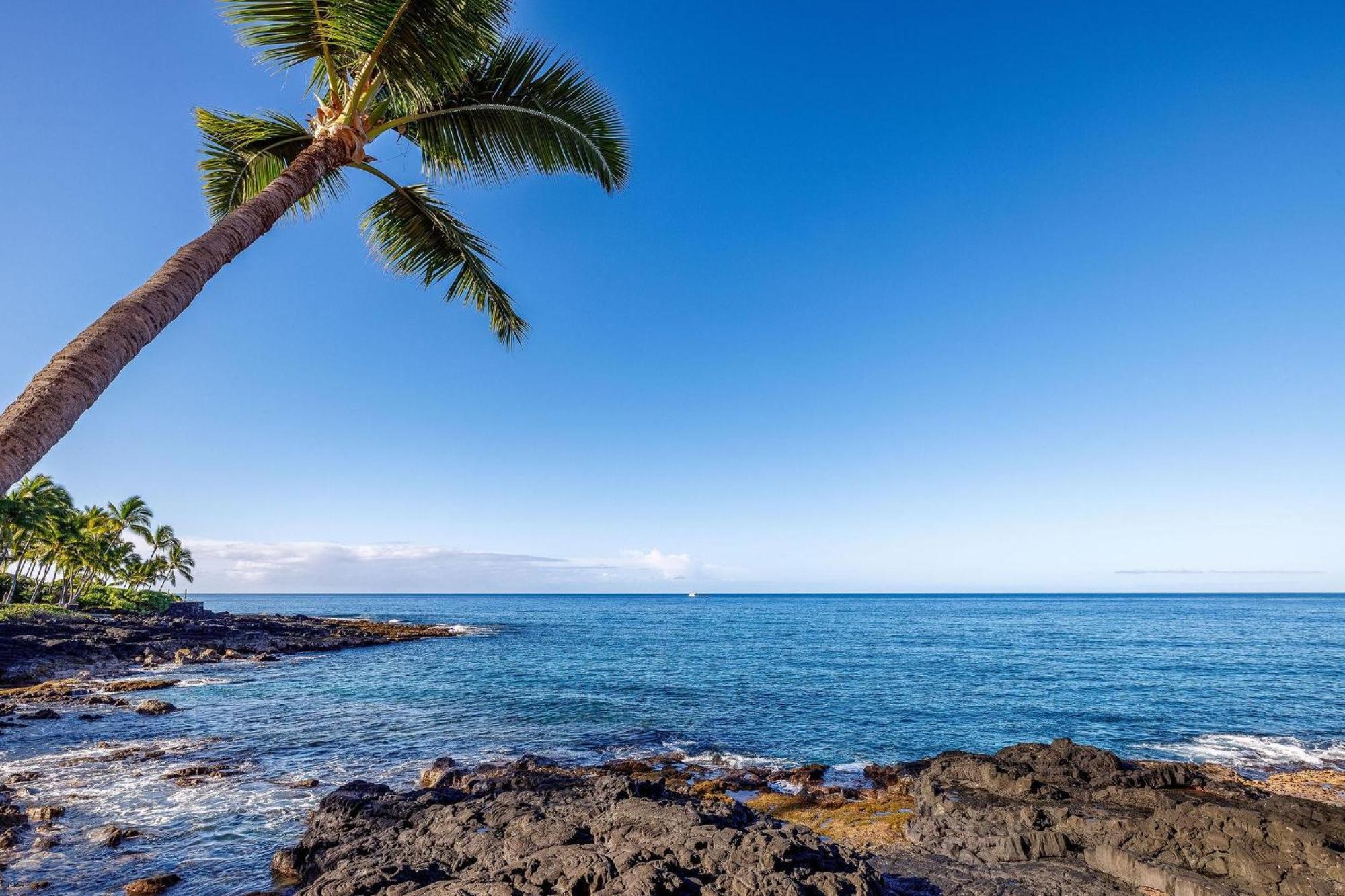 Kona Makai 3-203 Villa Kailua-Kona Eksteriør billede